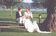 Our Wedding